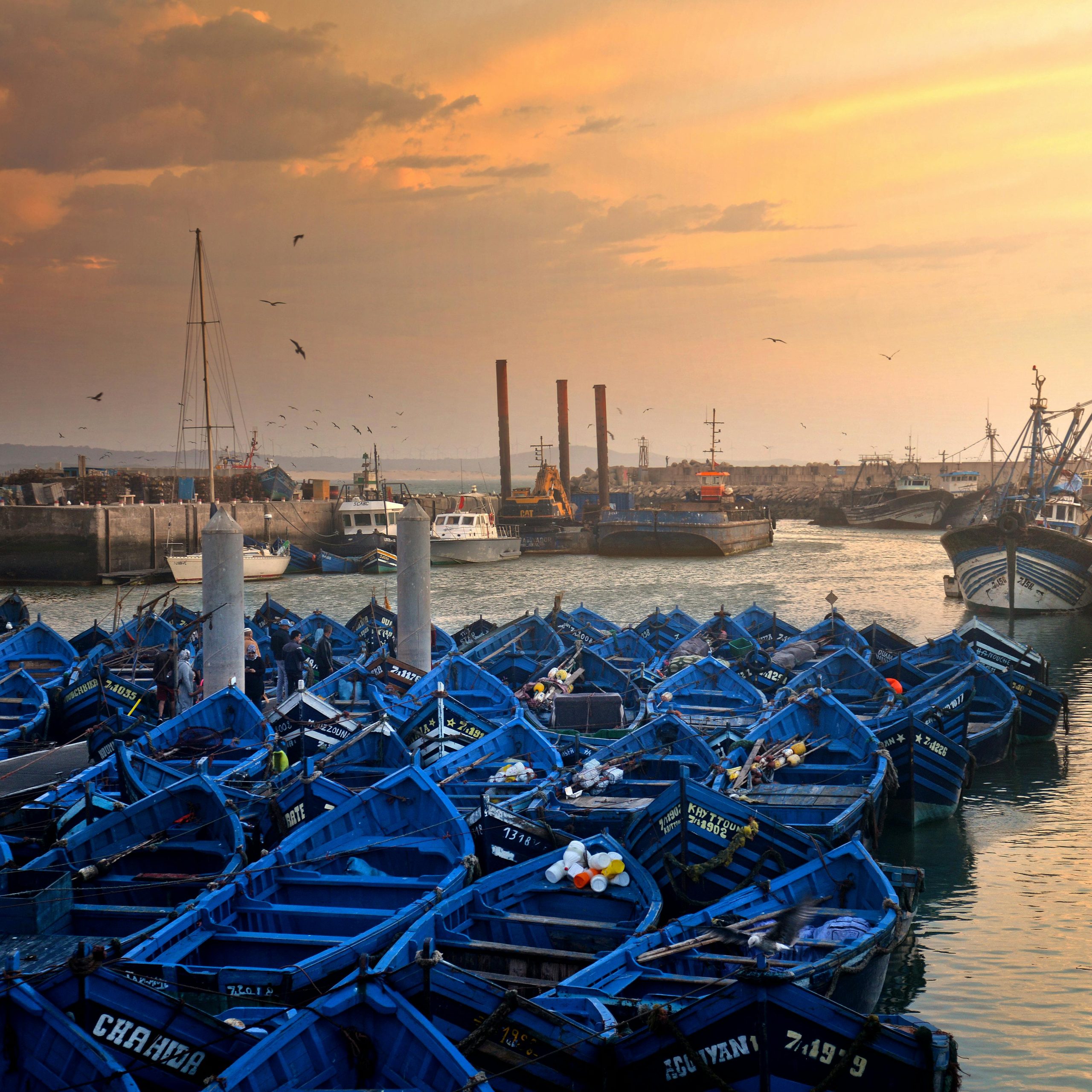 It begins at your door — then Morocco unfolds, quietly, beautifully, just for you