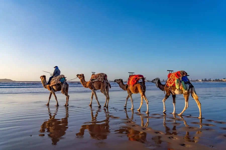 Essaouira Day Trip from Marrakech – Private Full-Day Tour
