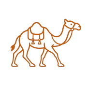 Camel Trek
