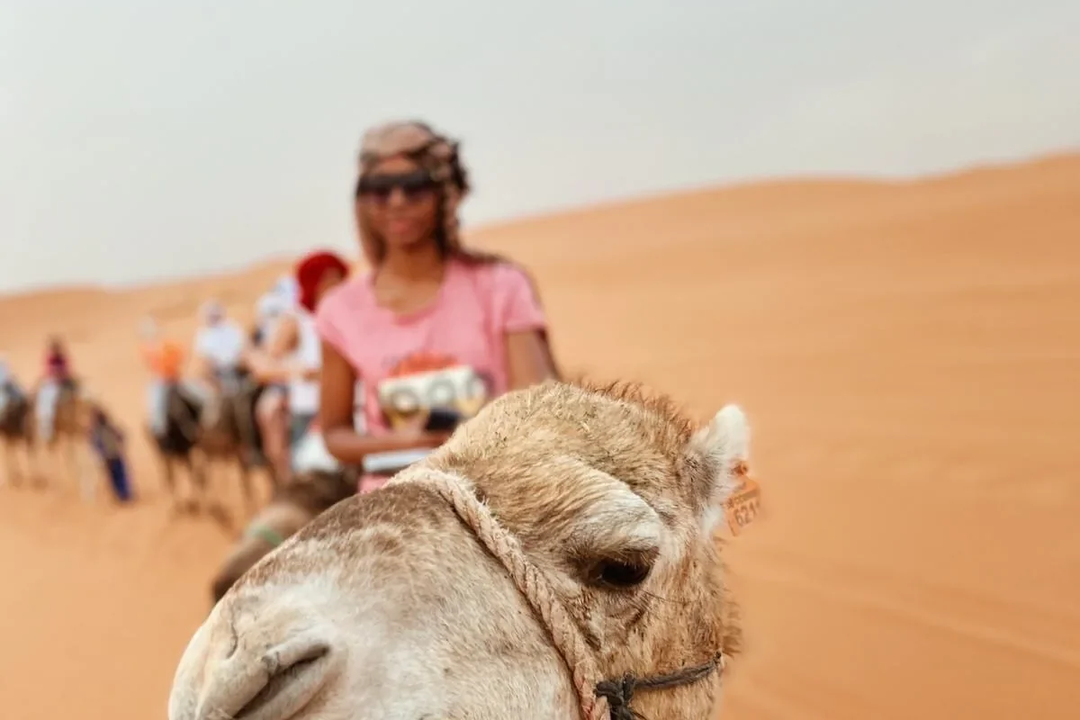 Day 2: Desert Sunrise, Ouarzazate & Return to Marrakech