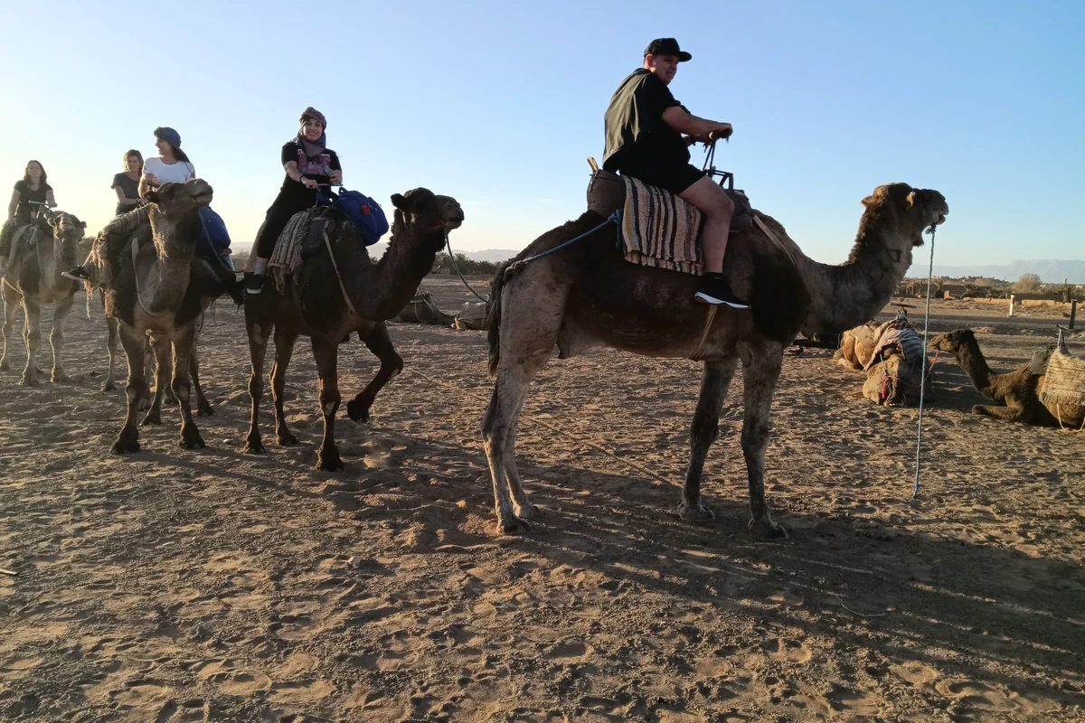 Day 1 Evening: Sunset Camel Trek & Night at the Desert Camp